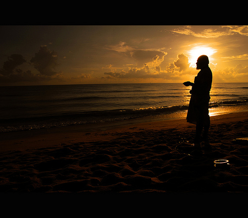 2402015631_377b18ec71