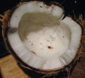 coco husk