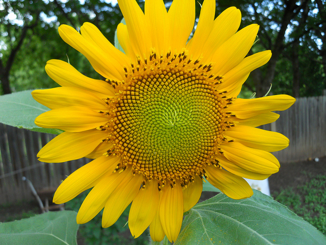 4788459820_9865343c1f_z courtesy of jon.roberts