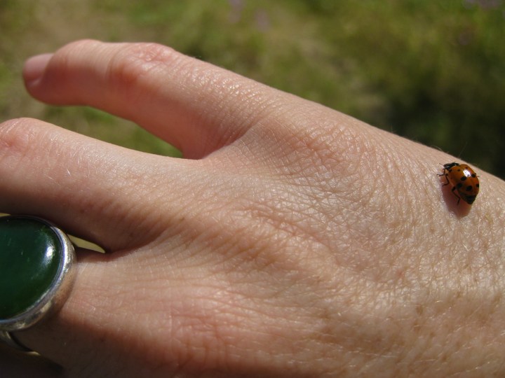 All Photos ~ Jessica Dofflemyer all rights reserved