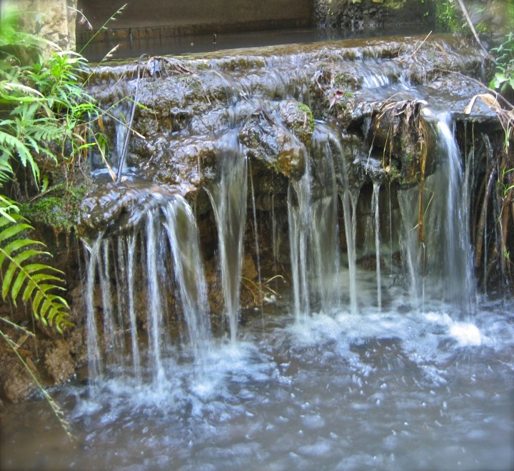 all photos Jessica Dofflemyer ~ all rights reserved