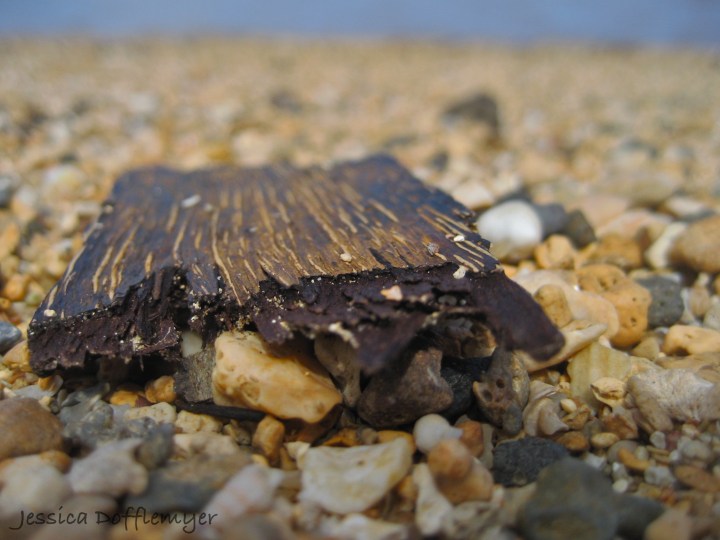 driftwood_sliver2013-02-17