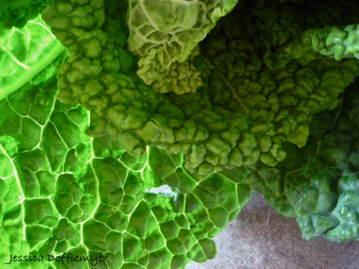 2013-03-17cabbage_leaves