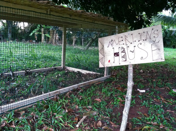 2013-03-25MerlinsHouse