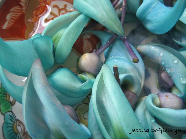 2013-04-05jade_close2