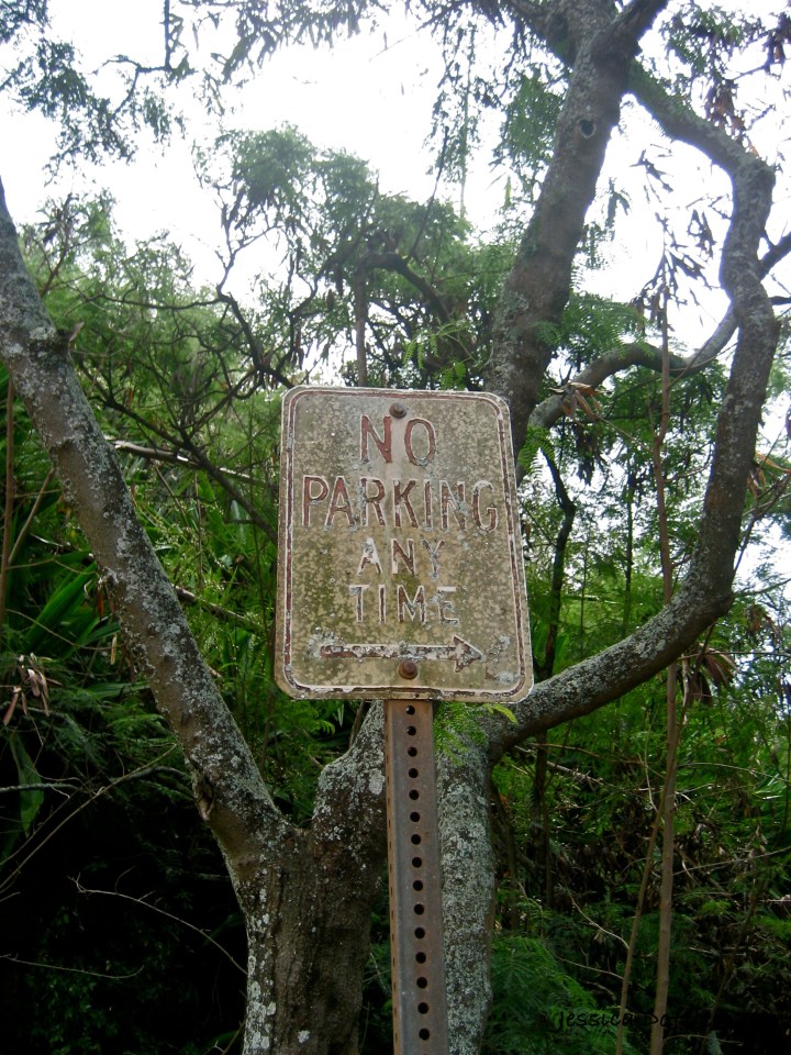 2013-04-08no_parking