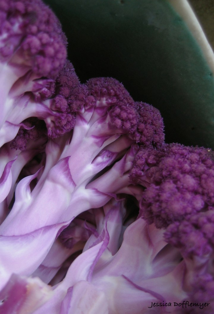purple cauliflower