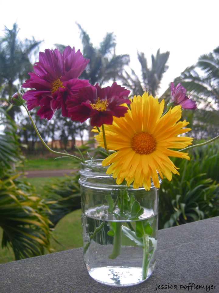 2013-04-10mason_flowers