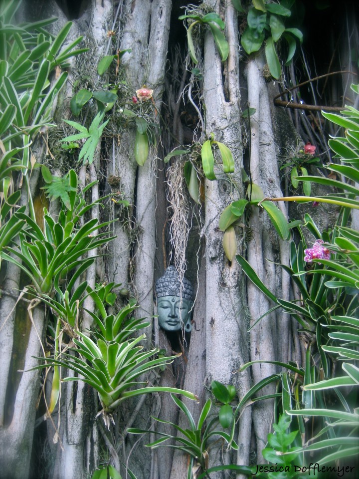 2013-04-15_Buddha_tree