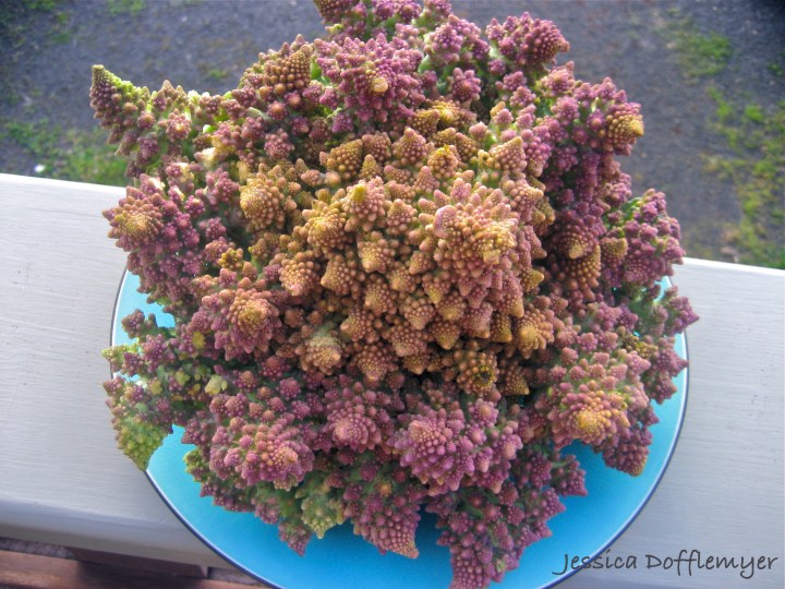 2013-05-07romanesco_above