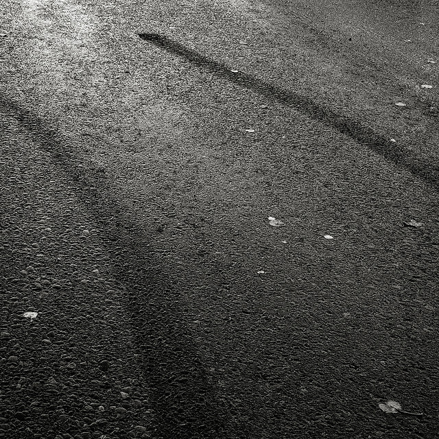 photo courtesy of Jussi Mannisto