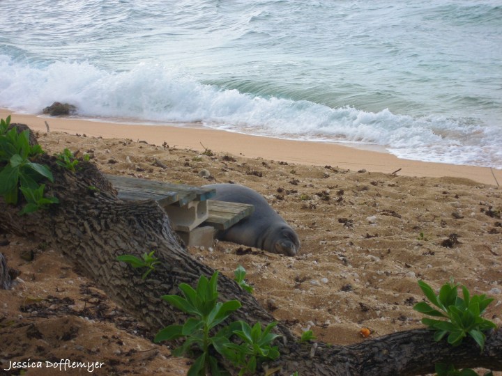 the baby is getting bigger...