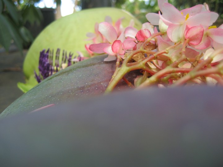 photo by Jeb ~ all rights reserved