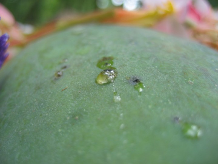 photo by Jeb ~ all rights reserved