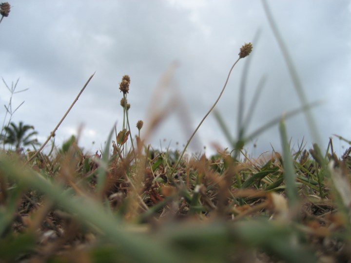 photo by Jeb ~ all rights reserved