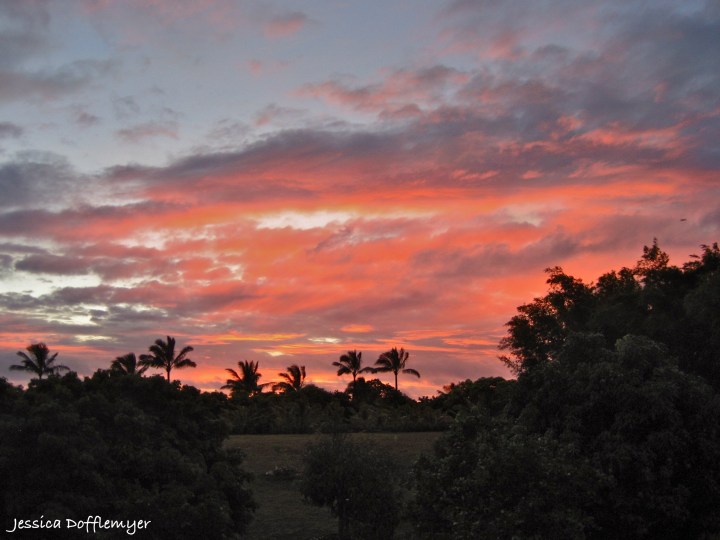 2013-07-30_flossie sunrise