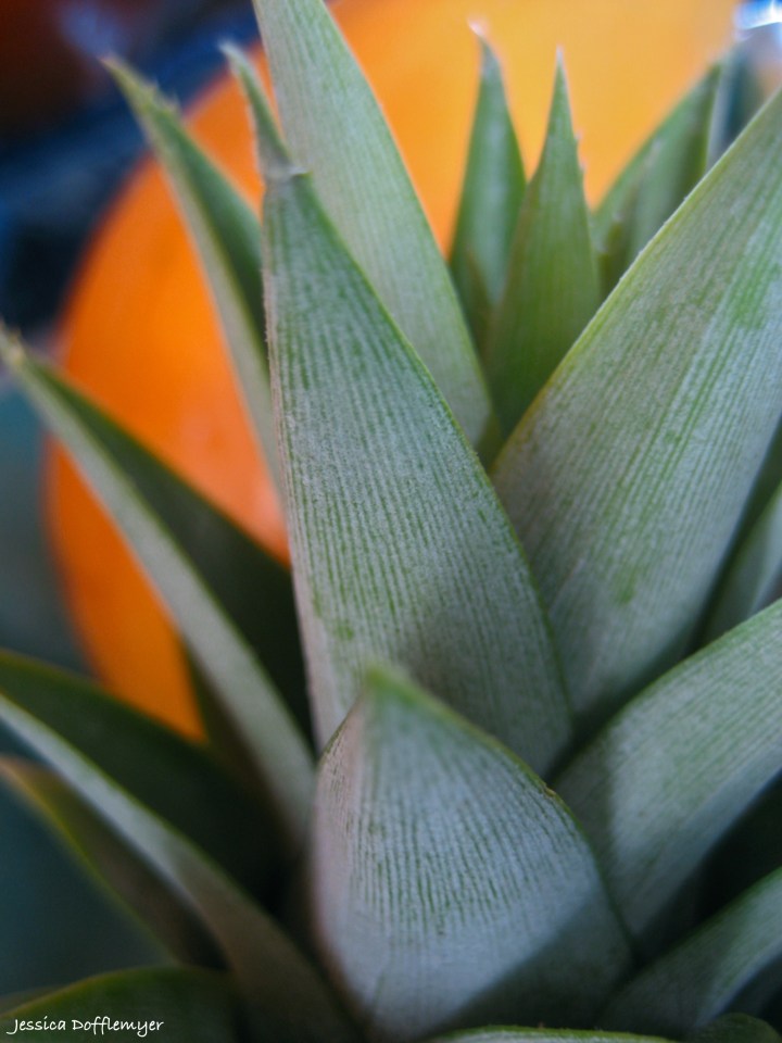 2013-08-05_pineapple