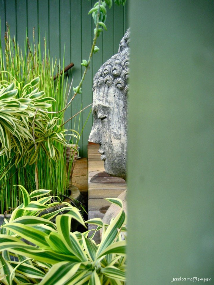 2013-08-23_buddah_peek2