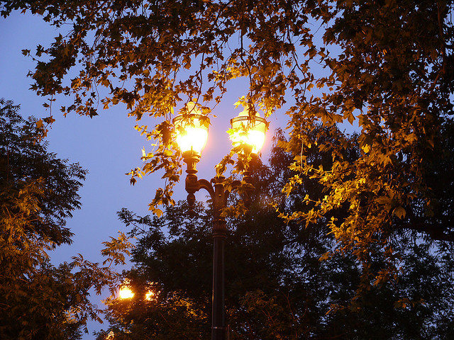 photo courtesy of Joseph Thorton