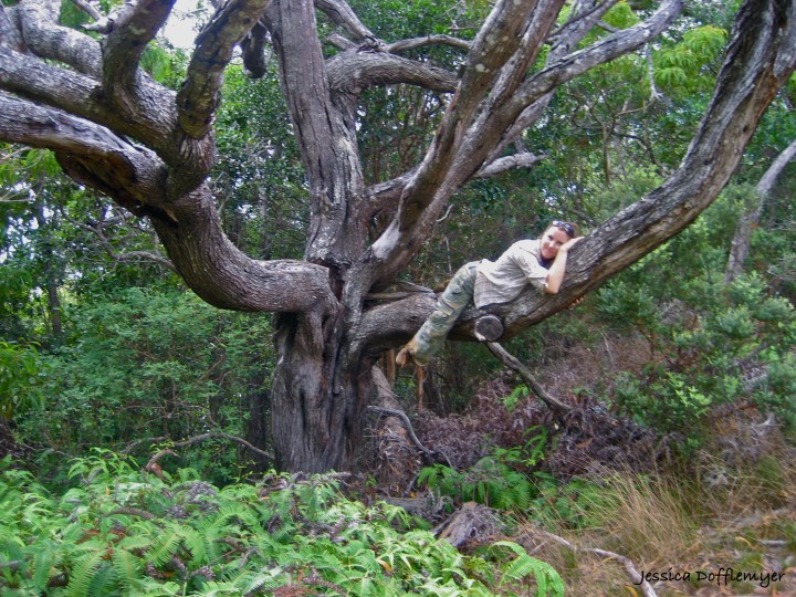 photo courtesy of the Bohemian