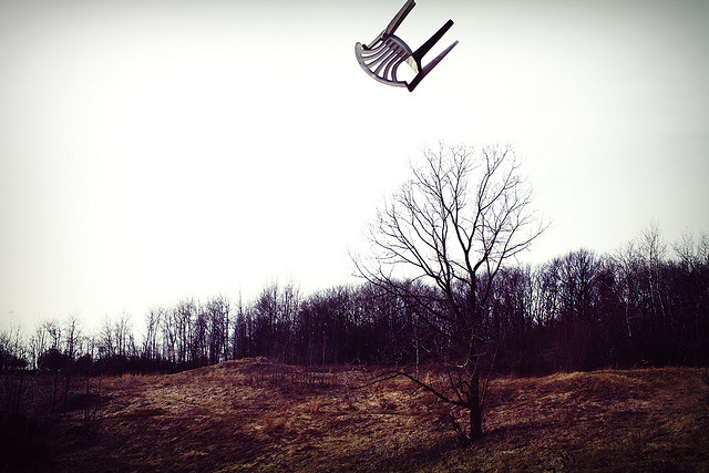 courtesy of Nicki Varkevisser