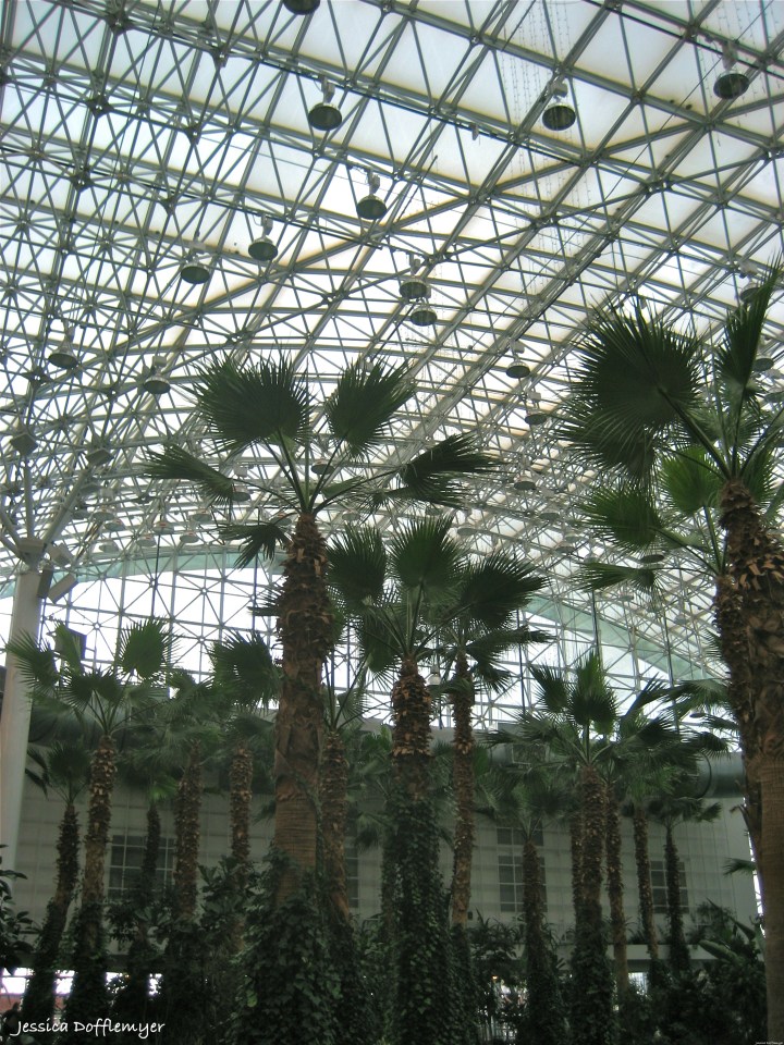 2013-11-18_crystal garden