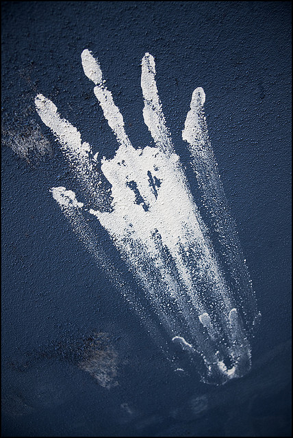 photo courtesy of Christian Cable