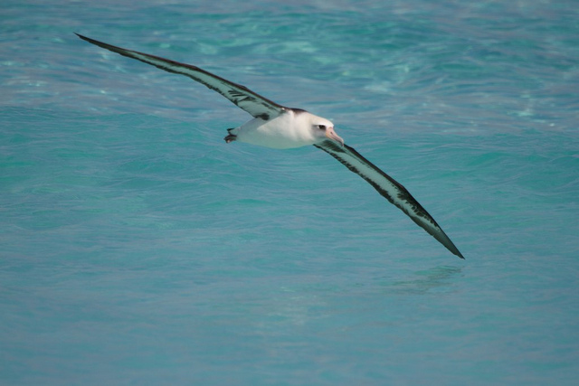 photo courtesy of HarmonyPlanetEarth