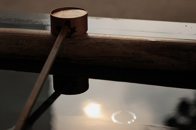 photo courtesy of mrhayata