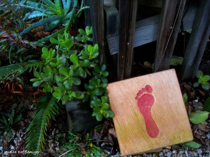 2014-01-16_stepping stone2