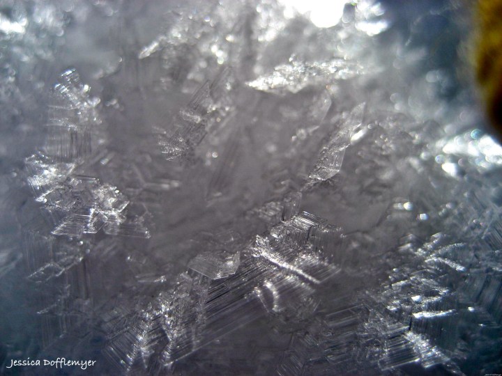 2014-01-23_snow crystals