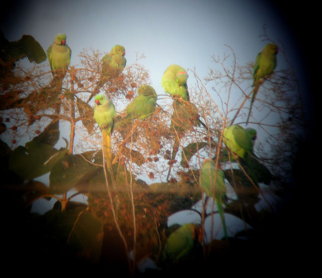 courtesy of gailhampshire