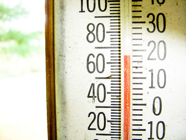 courtesy of Andy Melton