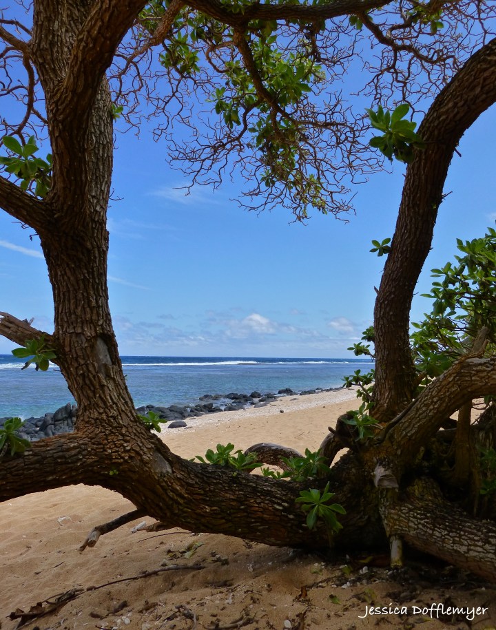 2014-03-24_ocean window view