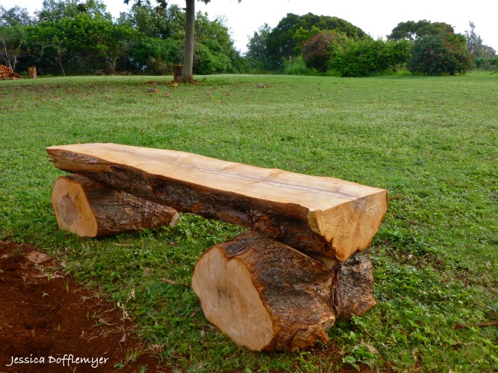 2014-04-02_bench close