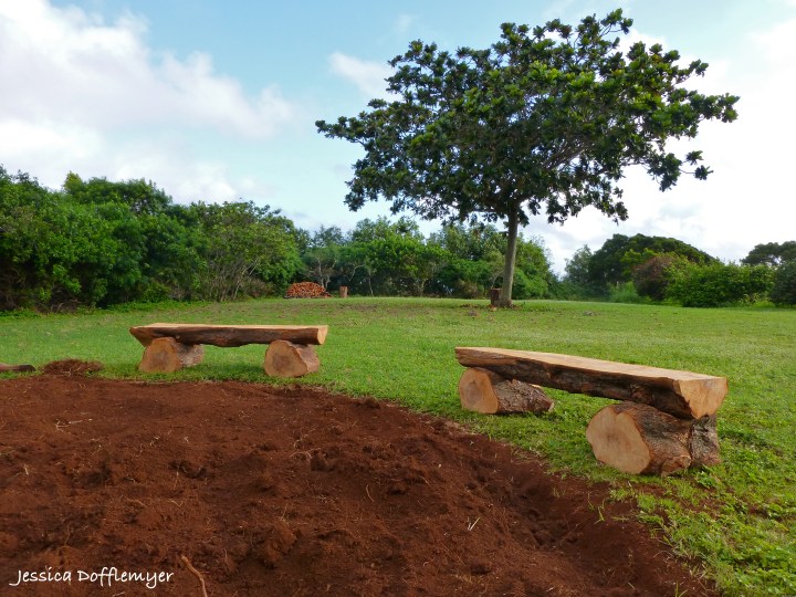 2014-04-02_bench distant