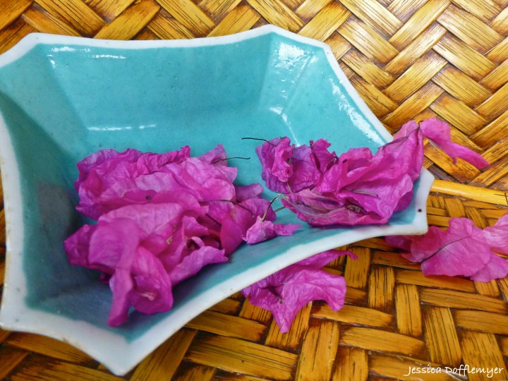 2014-04-18_bouganvillea distant