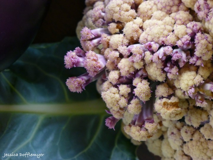 2014-04-22_rom_close