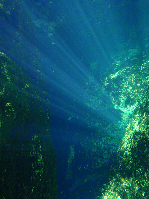 photo courtesy of Amanda