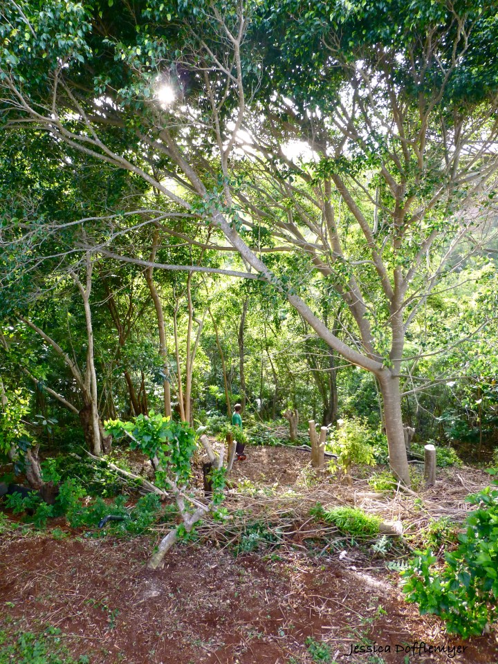 2014-05-05_open hillside