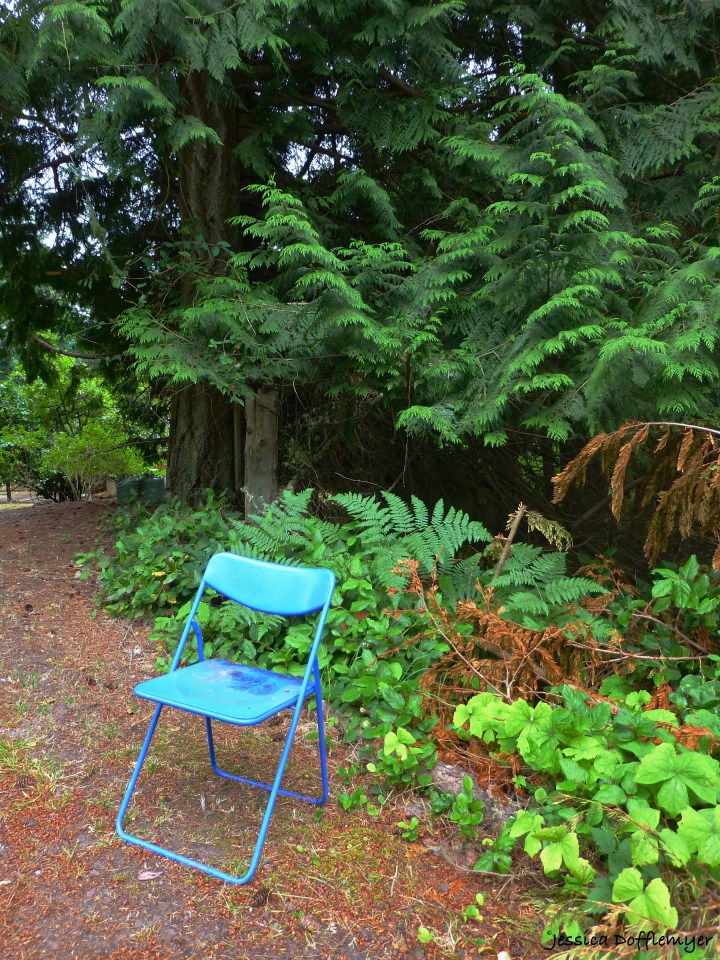 2014-08-28_blue chair