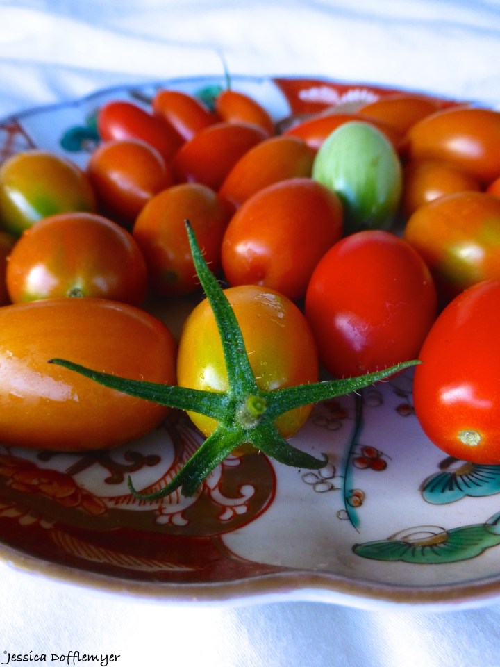 2014-10-16_tomatoes close