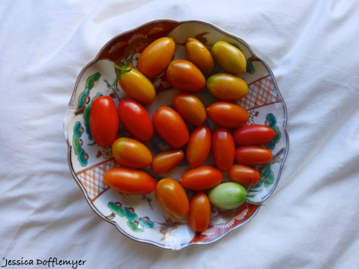 2014-10-16_tomatoes overview
