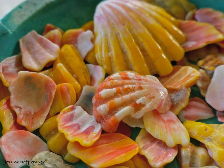 2014-12-09_sunrise chips