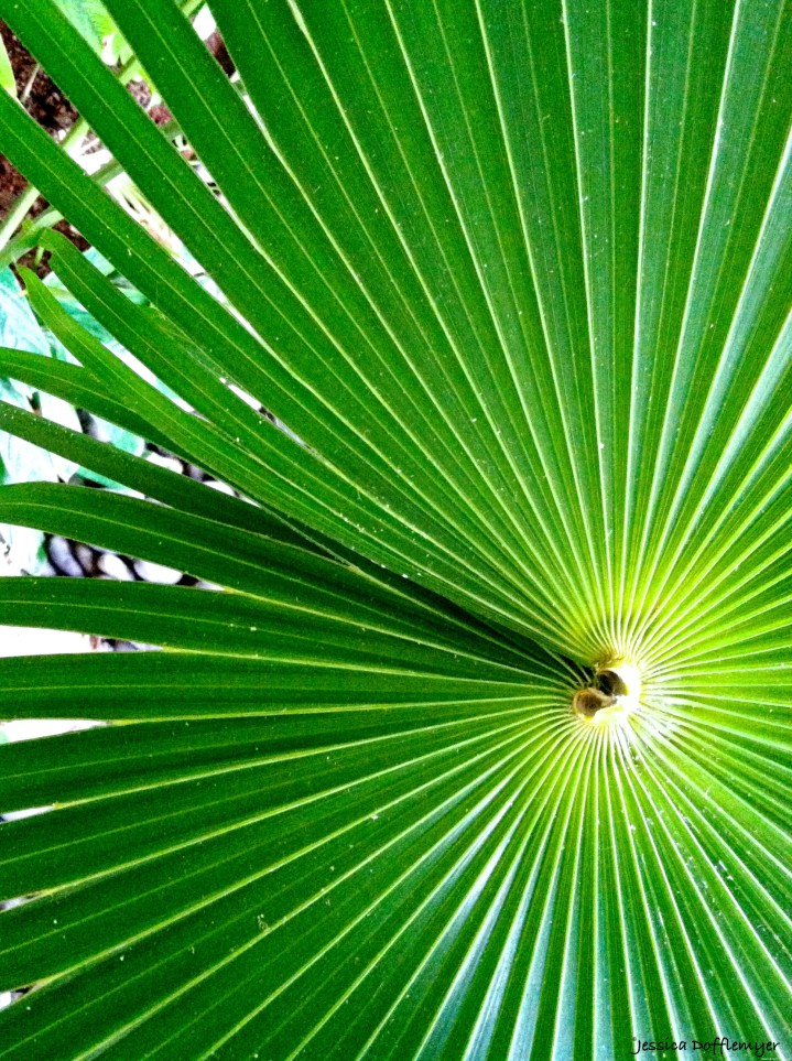 2015-05-22_radiating