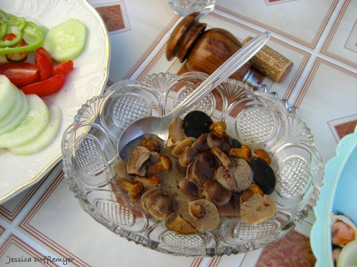 2015-08-01_mushrooms