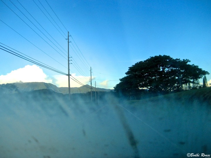 courtesy of Bodhi Rouse