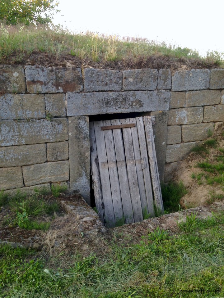 2015-09-30_czech wood door