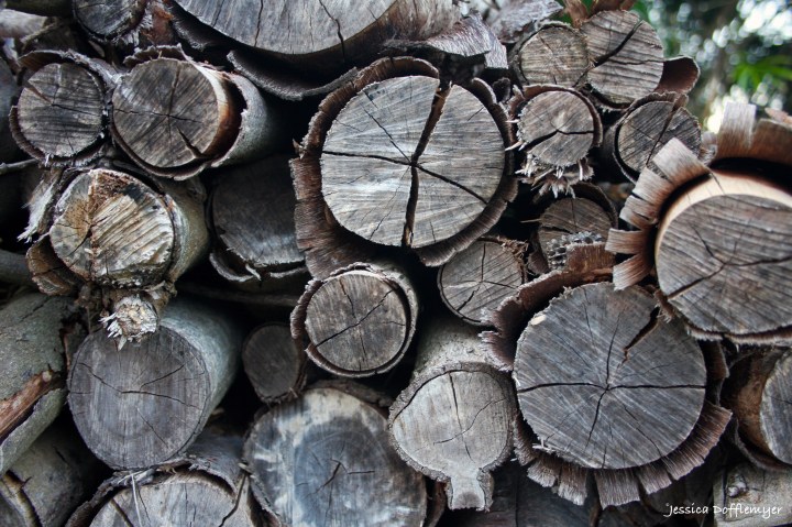 2016-02-01_wood pile