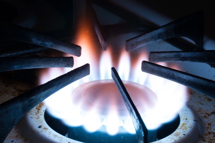 courtesy of D Coetzee